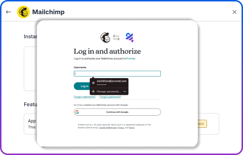 Mailchimp Campaign Performance