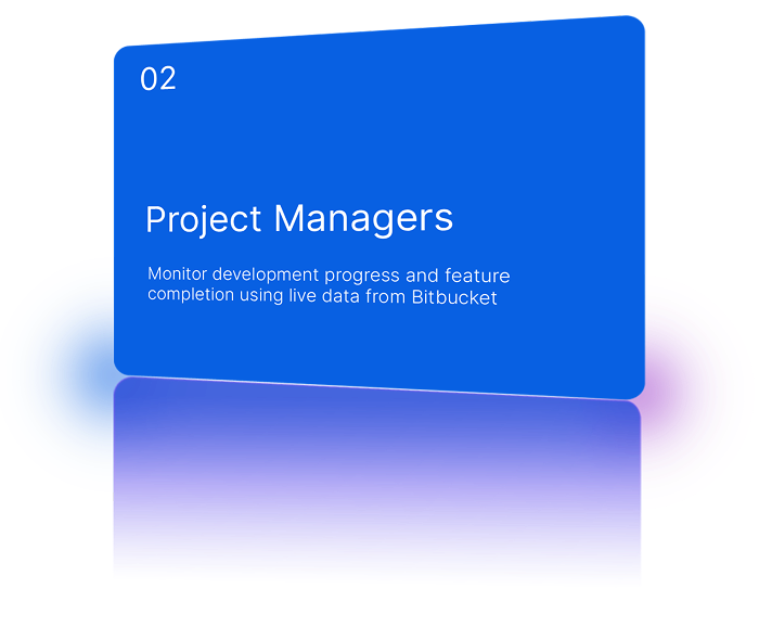 Project Managers